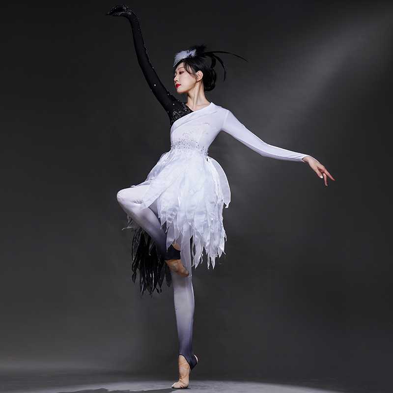 ダンス ドレス 優美な白鳥バレエチュチュドレス
