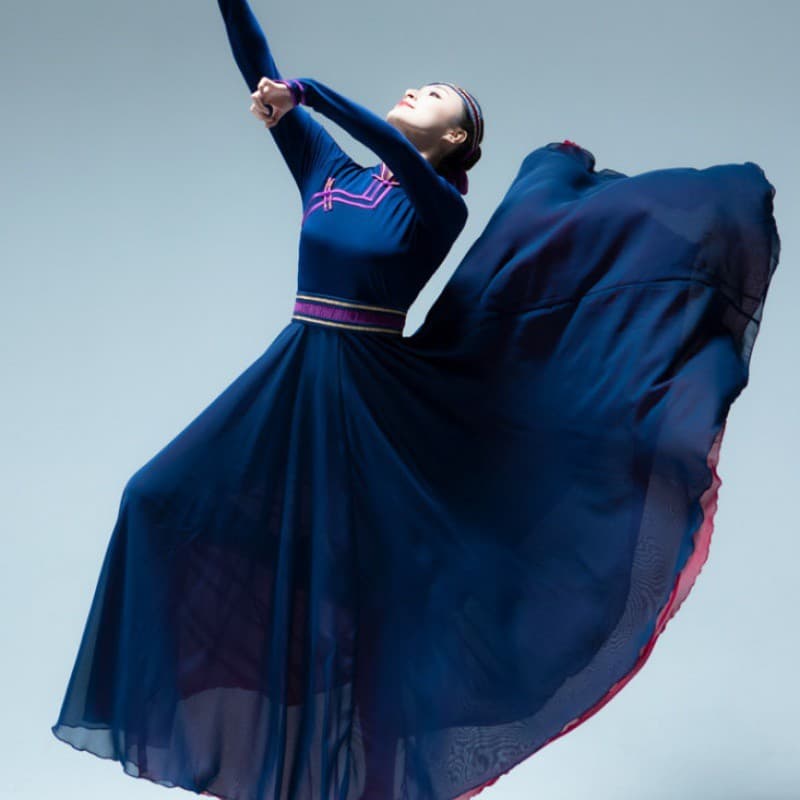 ダンス ドレス 舞踏花園モダンスタイル ダンスドレス