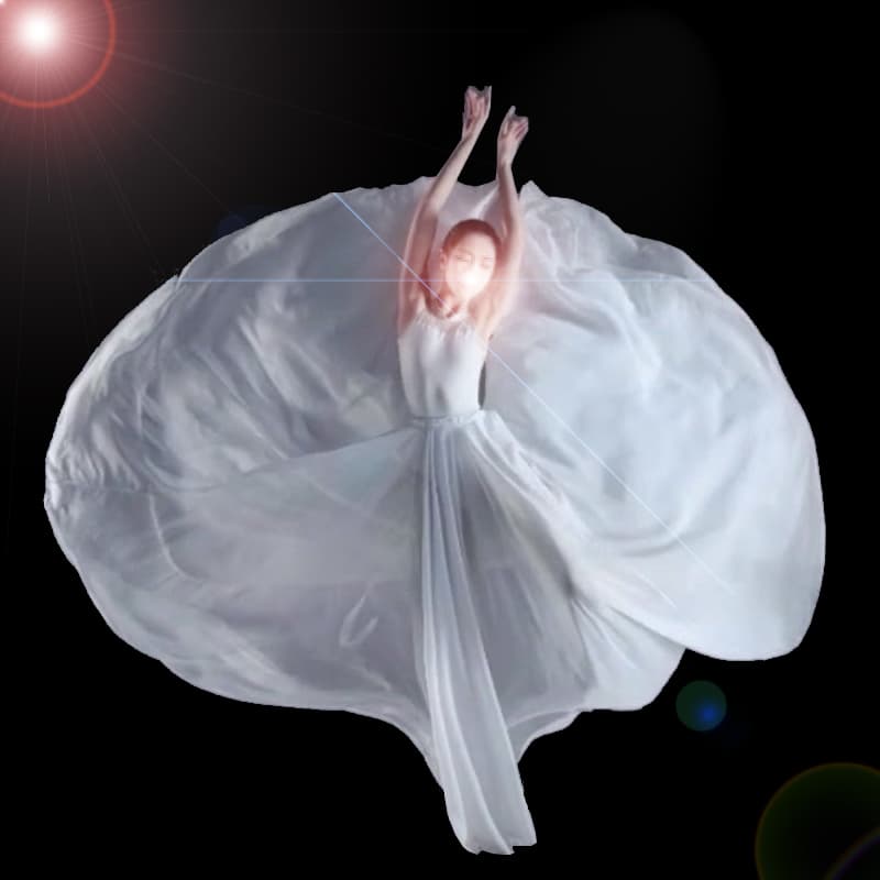 社交 ダンス ドレス 舞姫フレアスカート